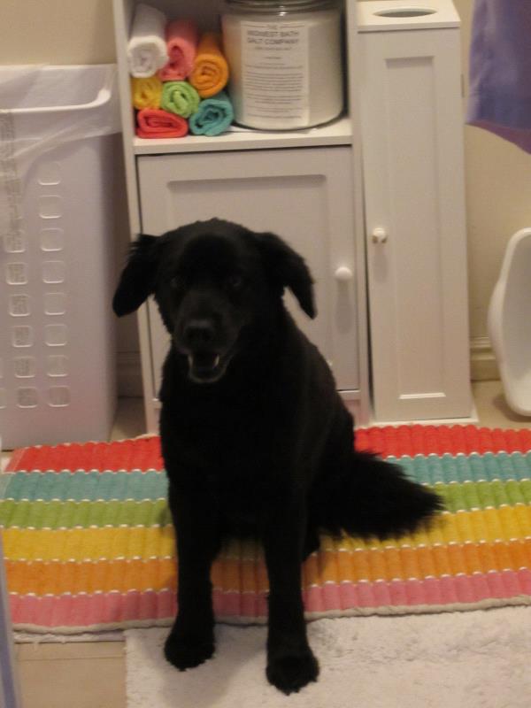 /Images/uploads/Humane Society of Utah/HSUCalendar/entries/1592thumb.jpg